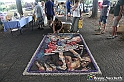VBS_9638 - Infiorata di Villanova d'Asti 2023